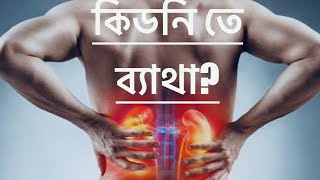 কোমরে ব্যাথা কি কিডনির জন্য Back pain for kidney stone and spine problem [upl. by Ilajna]