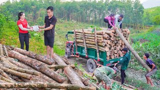 Buy Wood From Villagers On High Hills and Use Trucks To Transport and Sell To Traders  Daily Farm [upl. by Stanleigh]