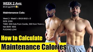 Ep 5 Track amp Calculate your BMR Maintenance Calories [upl. by Adamsun511]