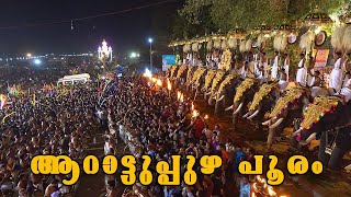 Arattupuzha Tharakkal Pooram LIVE  Melam Peruvanam Kuttan Marar ARNMediain [upl. by Nodnar]