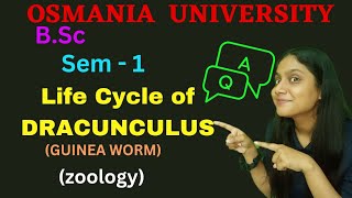 Life Cycle Of DRACUNCULUS GUINEA WORM  sem  1  BSc  zoology Humera [upl. by Oster459]