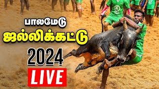 🔴பாலமேடு ஜல்லிக்கட்டு 2024 நேரலை  Palamedu jallikattu 2024 Live  Vikatan  Exclusive [upl. by Hermina]