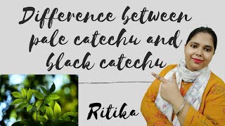 what is the difference between pale catechu and balck catechu 5 points for difference [upl. by Aloivaf]