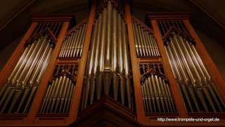 Trompete und Orgel  Händel We praise thee O God aus dem Dettinger Te Deum [upl. by Thynne621]