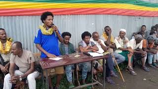 የአማራ ፋኖ በሸዋ ethio365 [upl. by Nancy728]