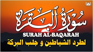 سورة البقرة كاملة  رقية للبيت وعلاج للسحر  تلاوة تريح القلب والعقل Surah AlBaqara [upl. by Vernor852]