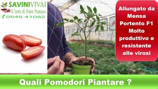 Quali pomodori piantare nel tuo orto [upl. by Eaj847]