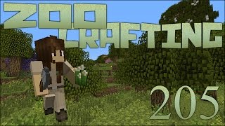 Temperate Forest Parkway 🐘 Zoo Crafting Episode 205 Zoocast [upl. by Aleris]