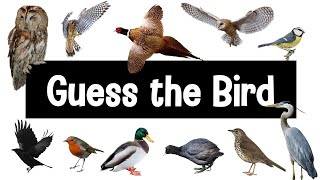 Guess the Bird  30 British Bird Calls [upl. by Accalia957]