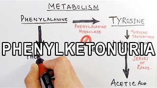 Phenylketonuria  Biochemistry amp Genetics [upl. by Ready951]