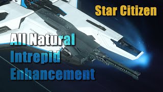 Star Citizen  Intrepid Redux [upl. by Gaw168]