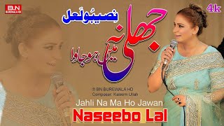 Jahli Nama Ho Jawan  Naseebo Lal  New Punjabi Song 2024  Punjabi Tappe Mahiye  BN BUREWALA HD [upl. by Thesda]