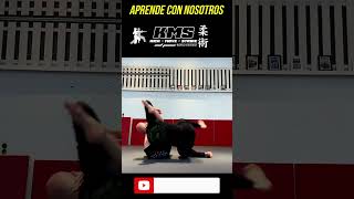 Llaves MMA  Recopilación Parte 1 [upl. by Quintin]