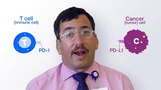 Explaining Immunotherapy PDL1 and PD1 [upl. by Herold]