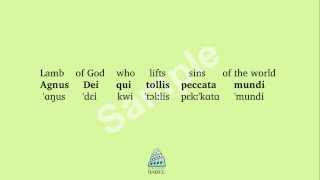 Mass Ordinary Agnus Dei  Pronunciation Guide [upl. by Lacsap]