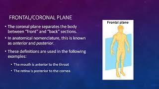 Anatomical Planes [upl. by Haduhey587]