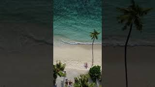 Thulusdhoo 2024 maldives travel tropicalisland beachvibes remoteisland [upl. by Leiuqeze]