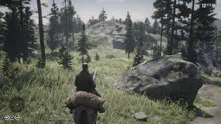 Red Dead Redemption 2 Ambience Hunting from Cattail Pond to Riggs Station [upl. by Alurd]