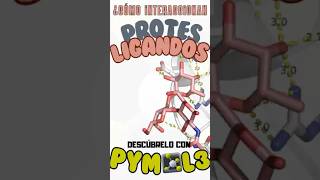 👀 Visualiza interacciones moleculares complejas con PyMOL 3 💻🧬 shorts tutorial [upl. by Om]