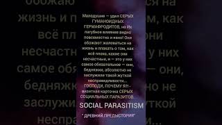 SOCIAL PARASITISM [upl. by Clower]