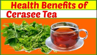 Health benefits of drinking cerasee tea [upl. by Dewhurst]