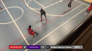 Tennessee Sting vs Clarksville Black Paws NNBA Season Game [upl. by Yenalem]