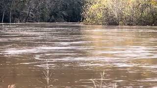 Meramec River on the rise after 7 inches of rain [upl. by Rammaj]