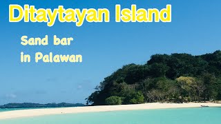 Ditaytayan Sand bar Palawan Island Escapade [upl. by Liuqa965]