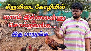 🐣சிறுவிடை கோழி வளர்ப்பில் உண்மையான லாபம் எவ்வளவுதான் கிடைக்குது  Smart Vivasayi [upl. by Leopold]