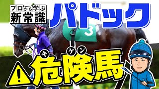 【パドックの見方】プロが危険馬の見極め方を伝授！元同僚の獣医師と語るパドック新常識！【競馬予想】 [upl. by Nahgeem]