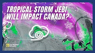 How Tropical Storm Jebi Could Impact Weather in Canada [upl. by Harms]