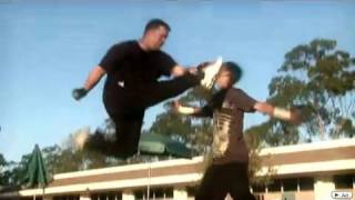 Wushu vs Karate  Martial Arts Fight Scene [upl. by Suehtomit]