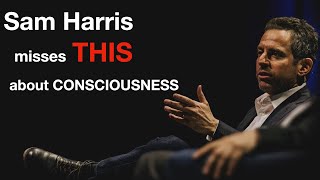 Reacting to Sam Harris THIS is what he MISSES about consciousness [upl. by Maxantia]