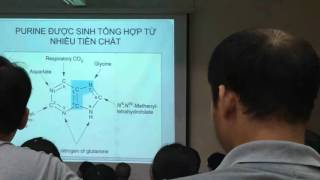 chuyen hoa axit nucleonic [upl. by Yaja]