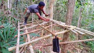 Solo Camping Membangun Selter di Pohon Kayu [upl. by Knapp]