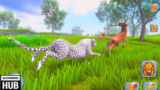 quotWild Kingdom Showdown Cheetah Faces Lions Deer Zebras Crocodiles and Hipposquot [upl. by Euqirdor259]