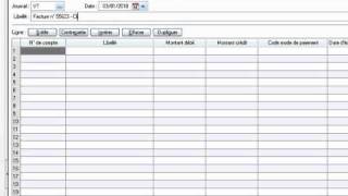 Vidéo n° 3 La saisie des écritures comptables [upl. by Trebled530]