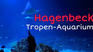 Hagenbeck TropenAquarium [upl. by Alimrahs]