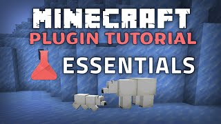 Essentials Plugin Minecraft 1211 Guide [upl. by Kuth]