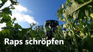 Raps schröpfen  Die GoPro kommt untern Mulcher [upl. by Noek]