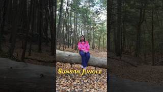 Sunsan Jungle Me Pahuch Gaye 😁 shorts viralshorts minivlog dailyvlog america jungle vlog [upl. by Llenrod20]