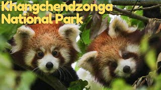 Exploring Khangchendzonga National Park A UNESCO World Heritage Site [upl. by Ardnohsed]