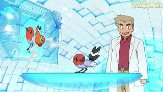 Fletchling attacks Professor Oak  Professor Oak Funny Moments [upl. by Boyce]