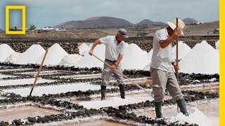 Ever Wonder How Sea Salt Is Made Find Out Here  National Geographic [upl. by Holzman457]