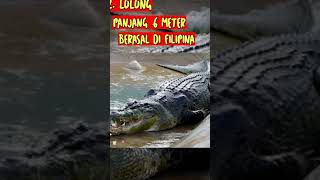 5 buaya terbesar di dunia [upl. by Edison118]