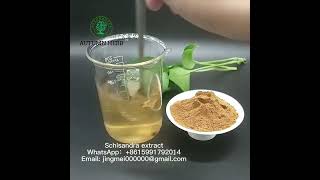 Herb extract plant extract schisandra extract Schisandra Chinensis Extract [upl. by Oiramad]