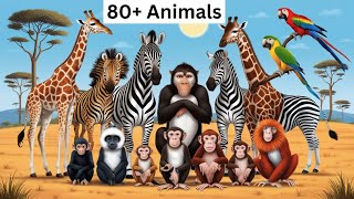 80 Mammals Name at once Animals Kids Learning Poem Some Animals Poem  Nursery Rhymes [upl. by Tizes]