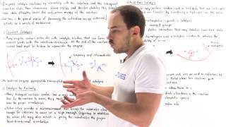 Mechanisms of Enzyme Catalysis [upl. by Ebeneser413]