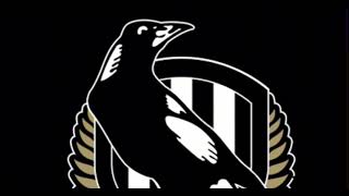 2024 Collingwood Magpies Theme Song [upl. by Amis555]