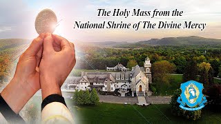 Mon Nov 11  Holy Catholic Mass from the National Shrine of The Divine Mercy [upl. by Adnilav310]